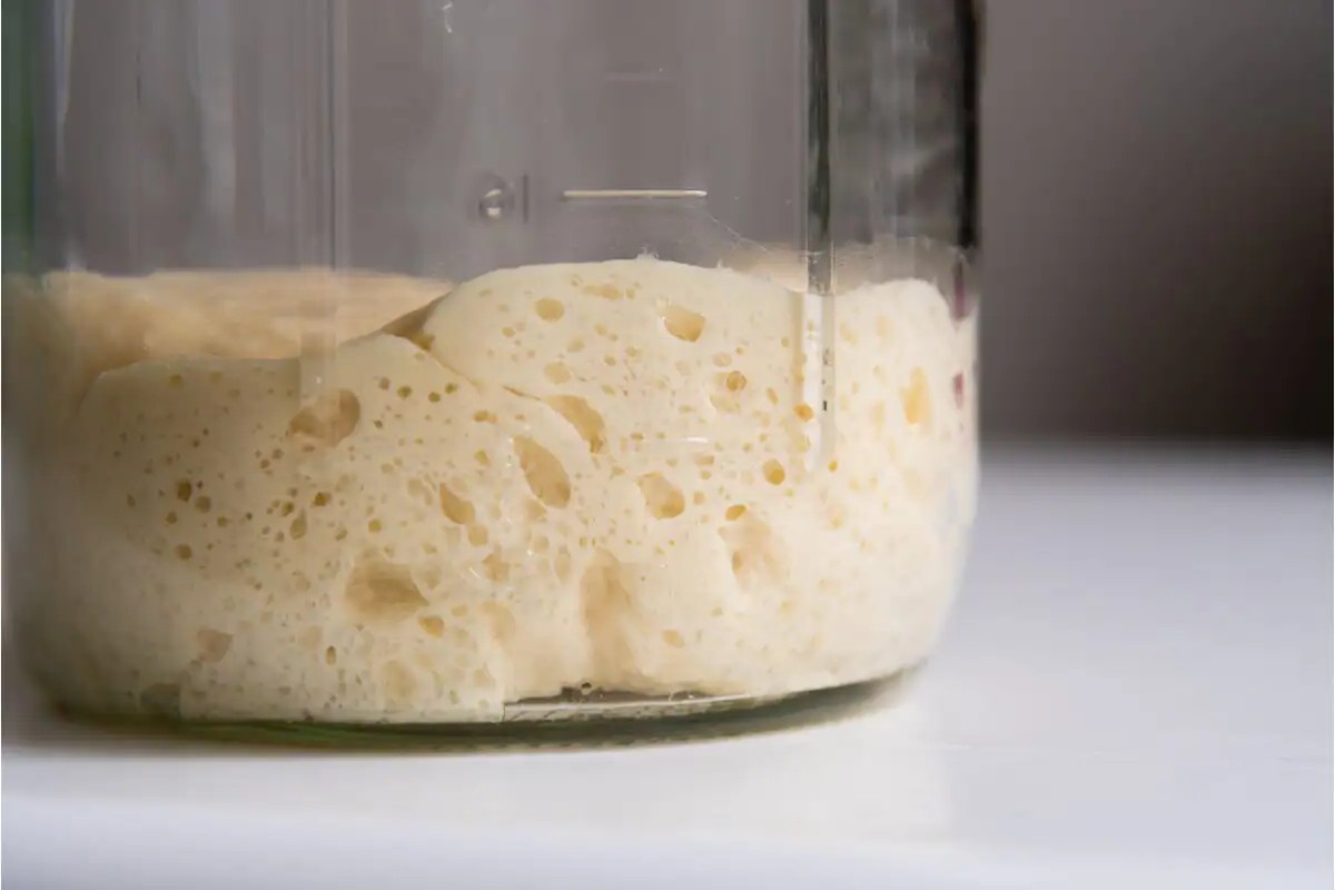 geen-commerciele-giststarter-recept