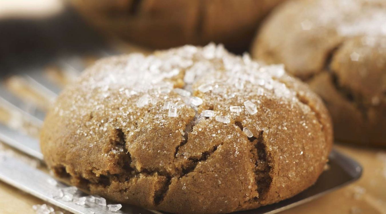 melassekoekjes-recept